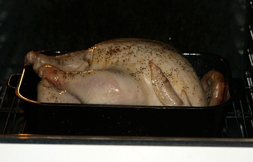 Turkey Roasting in the Oven