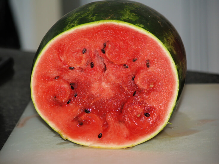 Cut Watermelon