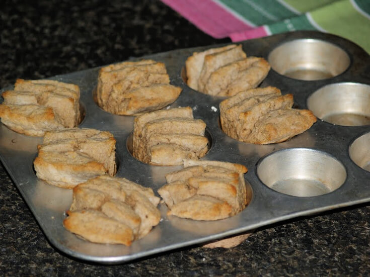 Fresh Baked Rye Biscuit Fans