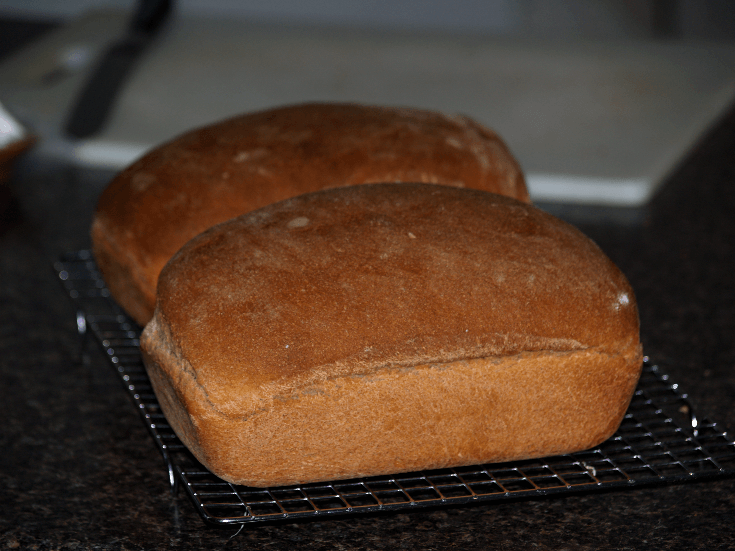 Whole Wheat Yeast Bread Recipe