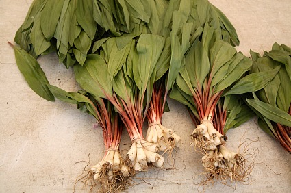 Ramps