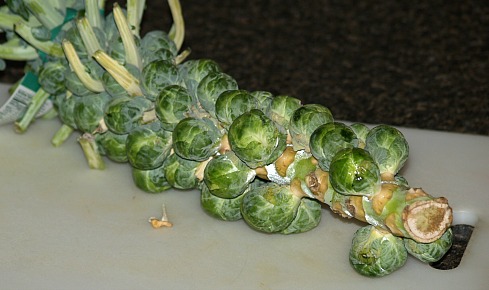 How to Cook Brussels Sprouts