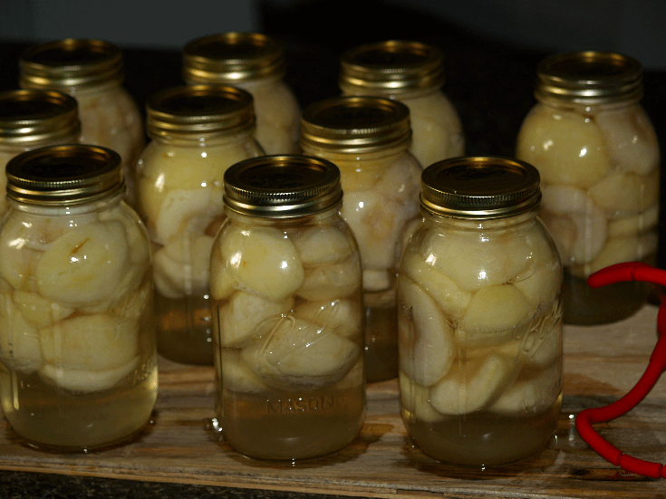 Canned Apples