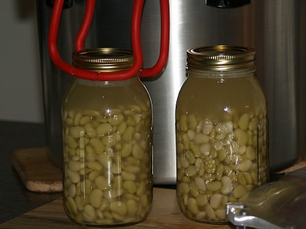 Canning Lima Beans