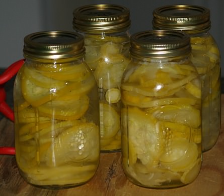 Sliced Canned Squash