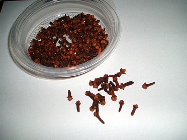 What are Cloves?