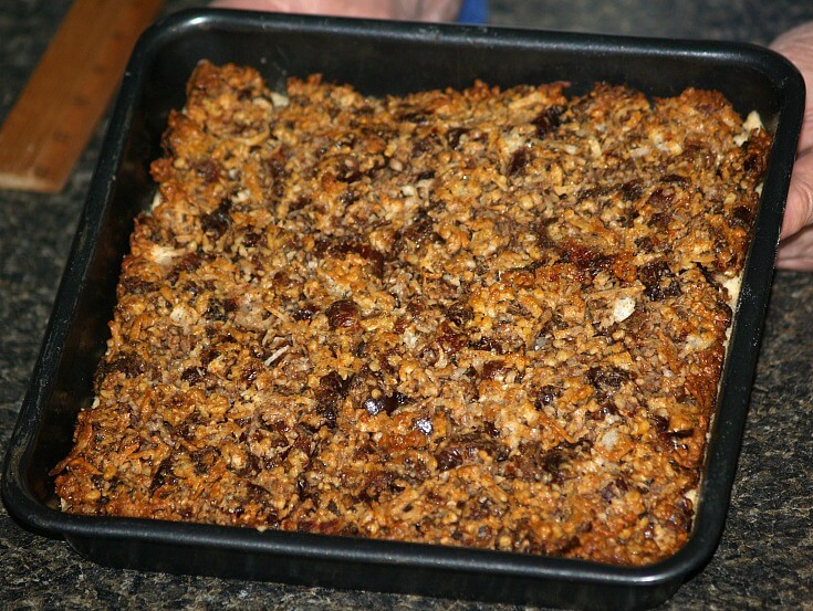 Coconut Date Nut Bars Fresh From the Oven