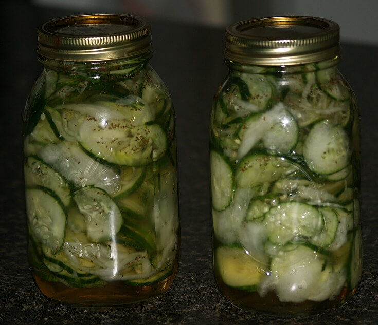 Cucumber Salad Recipe