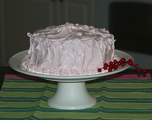 A Dark Chocolate Cake Recipe with Fluffy Peppermint Frosting