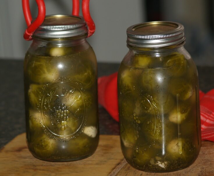 Canned Dilled Brussels Sprouts