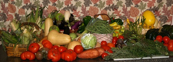 garden fresh vegetables