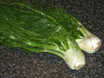 How to Make Fennel Recipes