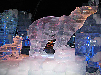 Ice Show