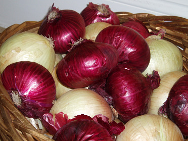 onions