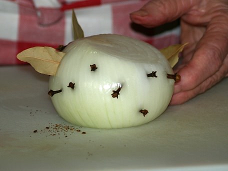 Onion Spice Bulb