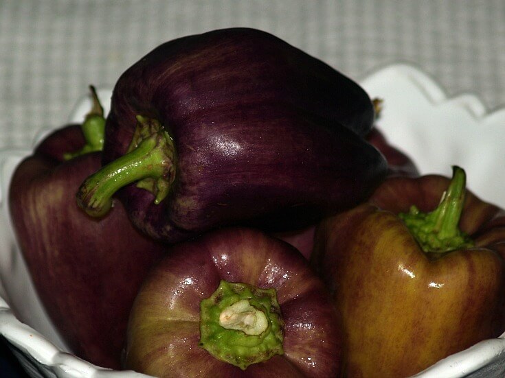 Purple Sweet Peppers