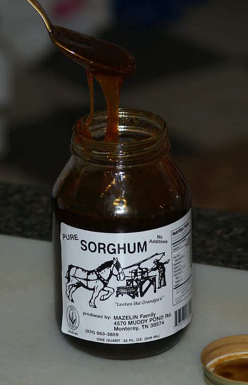 What is Sorghum?