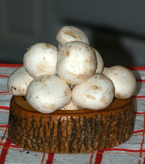 White Button Mushrooms