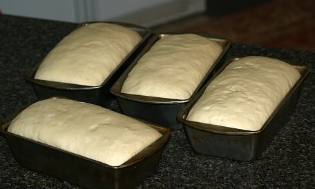 Loaf Pans Double in Bulk